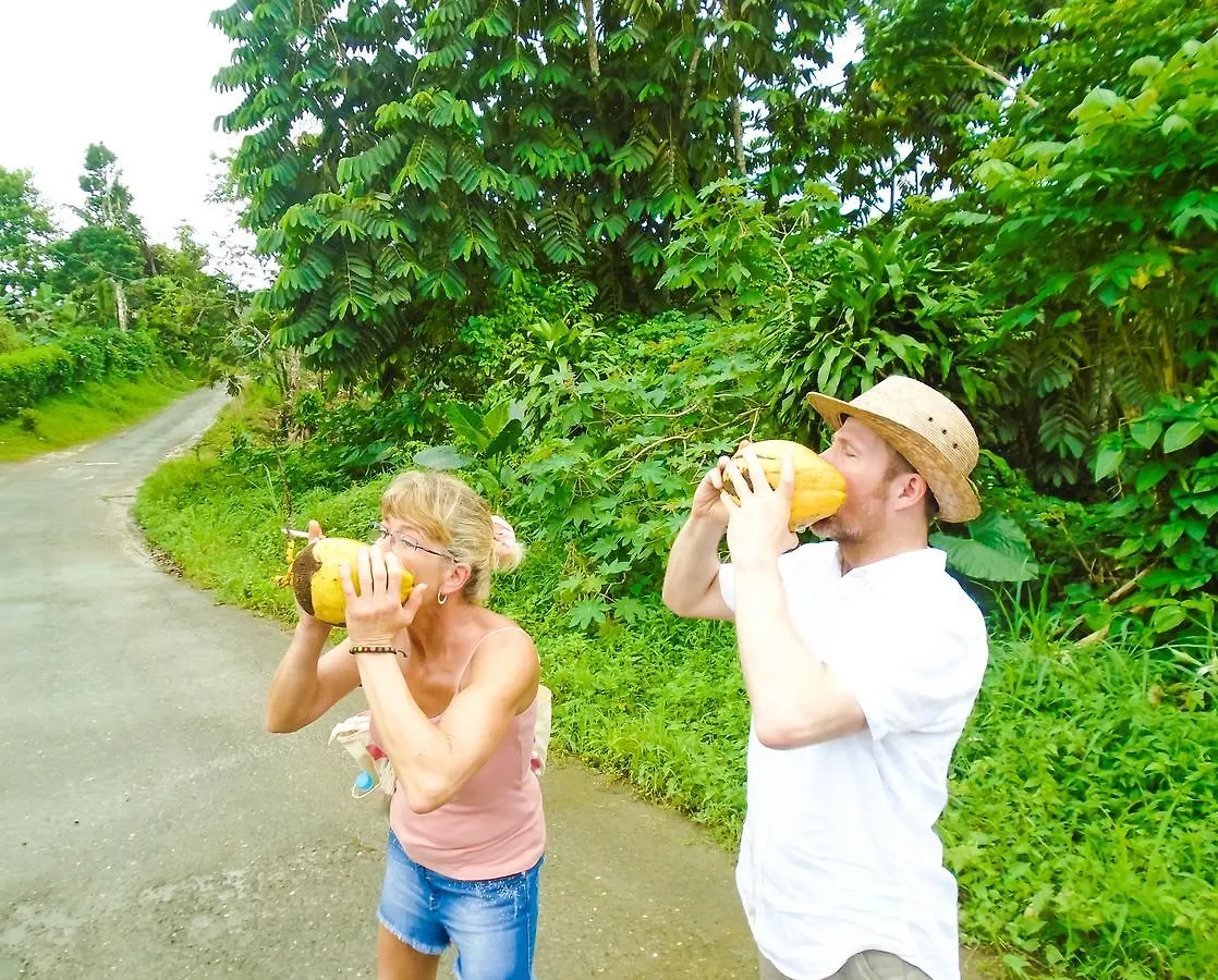 Joy'S Eco Lodge And Wellness CenterDressikie ベッド・アンド・ブレックファスト