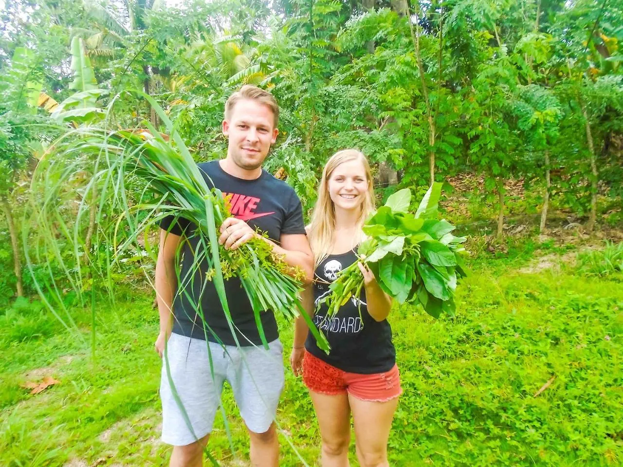 Joy'S Eco Lodge And Wellness CenterDressikie