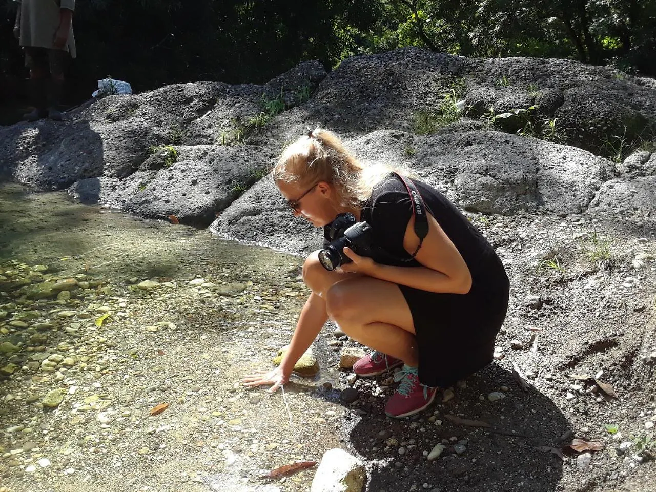 Joy'S Eco Lodge And Wellness CenterDressikie ベッド・アンド・ブレックファスト Dressikie